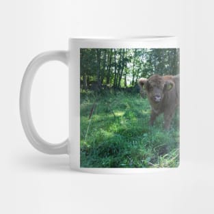 Scottish Highland Cattle Calf 1491 Mug